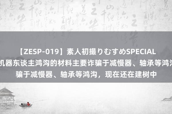 【ZESP-019】素人初撮りむすめSPECIAL Vol.3 翔楼新材：机器东谈主鸿沟的材料主要诈骗于减慢器、轴承等鸿沟，现在还在建树中