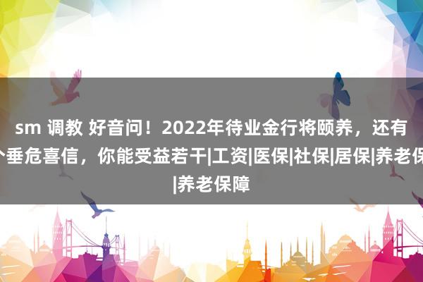 sm 调教 好音问！2022年待业金行将颐养，还有5个垂危喜信，你能受益若干|工资|医保|社保|居保|养老保障